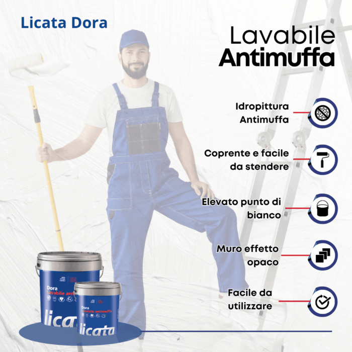 Dora Licata Lavabile Antimuffa Pittura