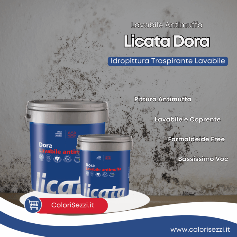 Dora Licata Pittura Antimuffa