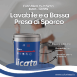Licata Pittura Dora Lavabile Antimuffa