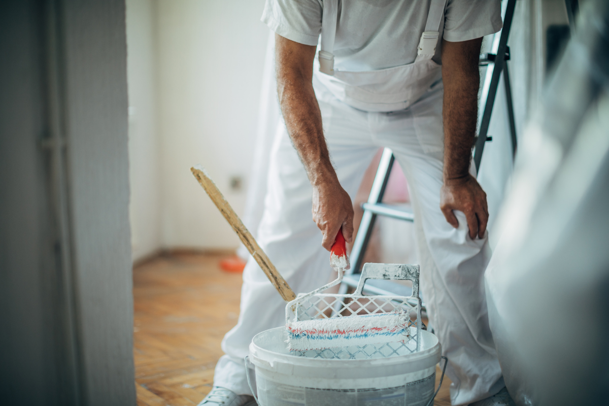 Pitture per Interni Professionali Vendita e Fornitura